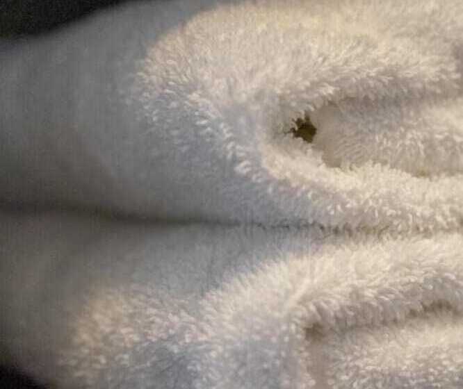 B&b De Wilhelminaschool