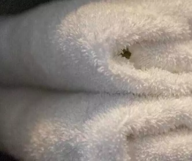 B&b De Wilhelminaschool