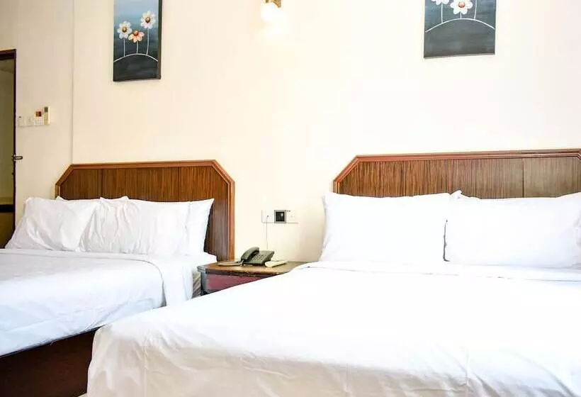 Townview Hotel Muar
