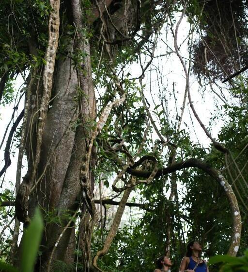 Hotel Sol De Minca Eco Lodge