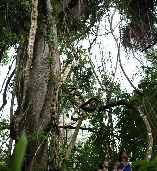 ホテル Sol De Minca Eco Lodge