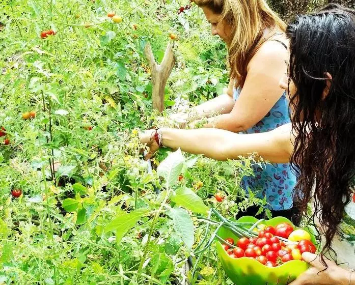 ホテル Sol De Minca Eco Lodge