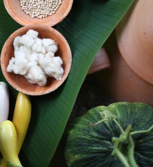 Hotel Sol De Minca Eco Lodge