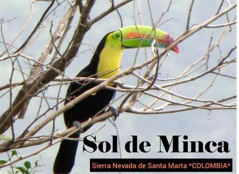 ホテル Sol De Minca Eco Lodge