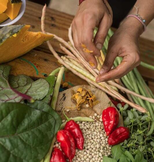 Hotel Sol De Minca Eco Lodge