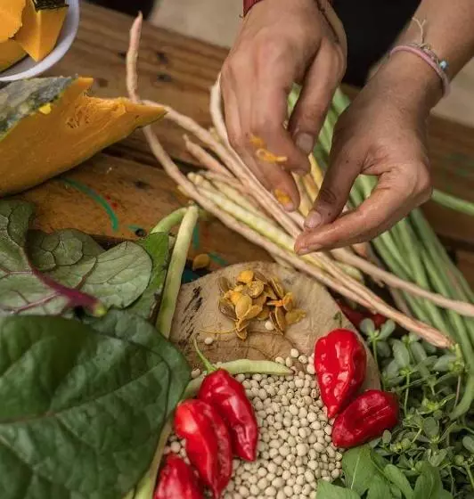 ホテル Sol De Minca Eco Lodge