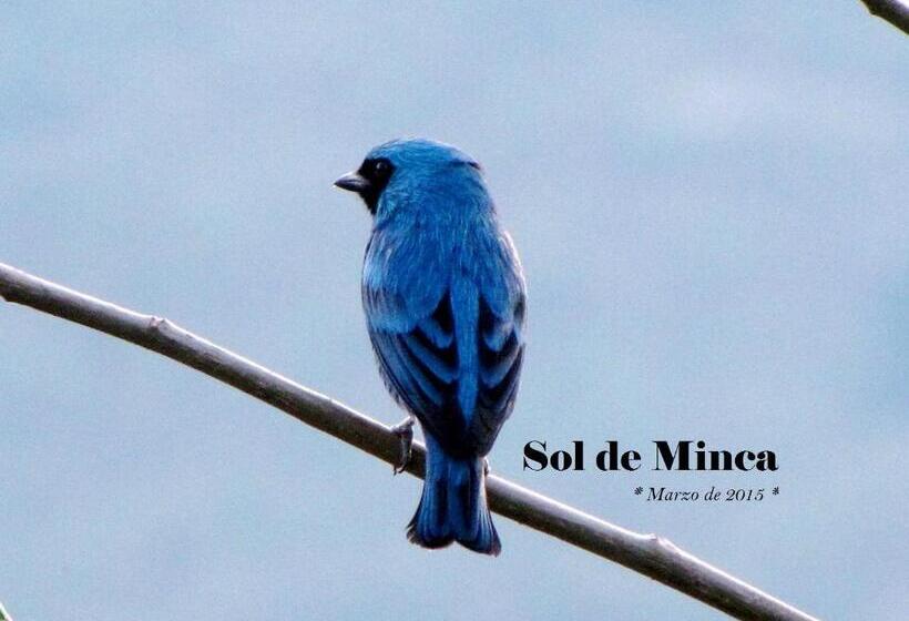 Hotel Sol De Minca Eco Lodge