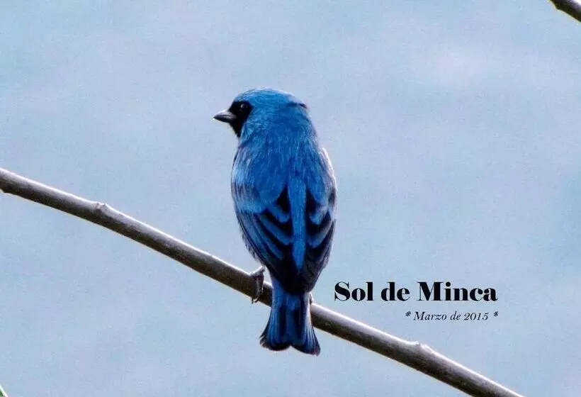 ホテル Sol De Minca Eco Lodge