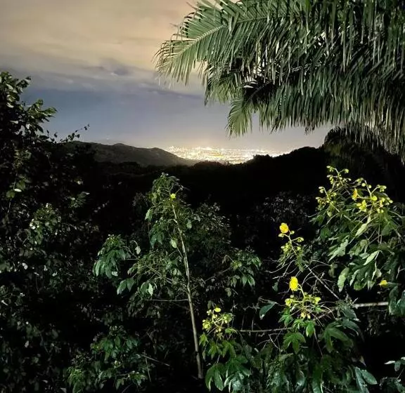 ホテル Sol De Minca Eco Lodge