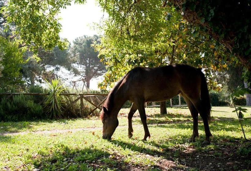酒店 Agriturismo La Cerquetta Ryder Cup
