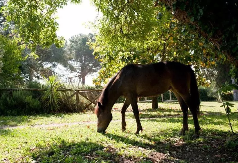 ホテル Agriturismo La Cerquetta Ryder Cup