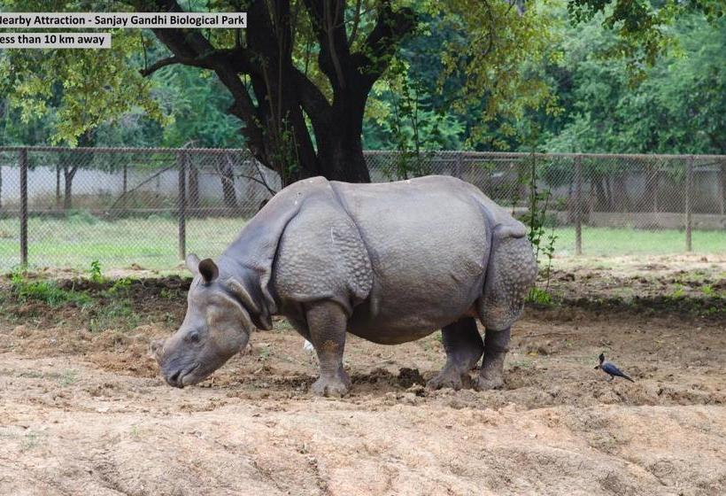 Oyo 10266 Hotel Amantran