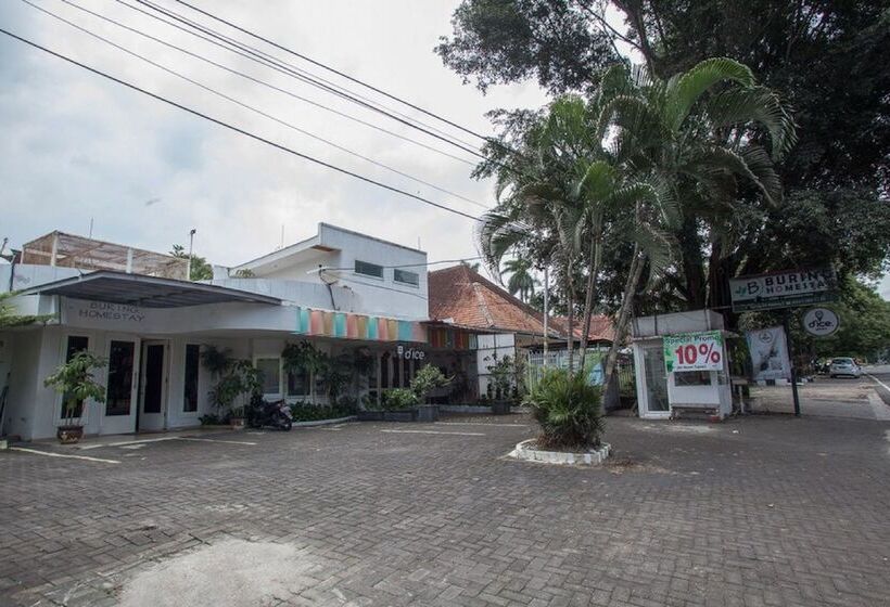 פנסיון Reddoorz Plus @ Idjen Boulevard Malang