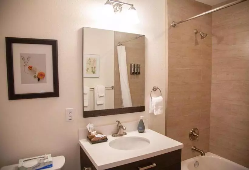 Hotelli Flora And Fauna