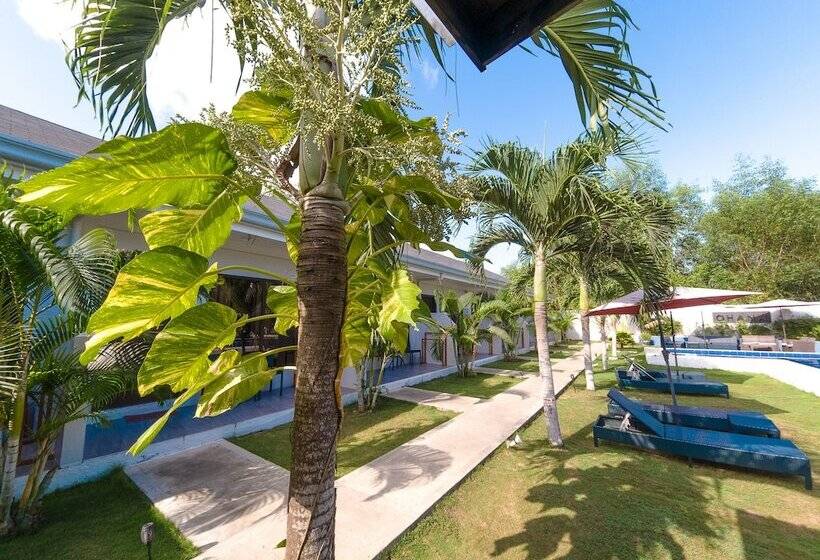 Ohana, Panglao Resort