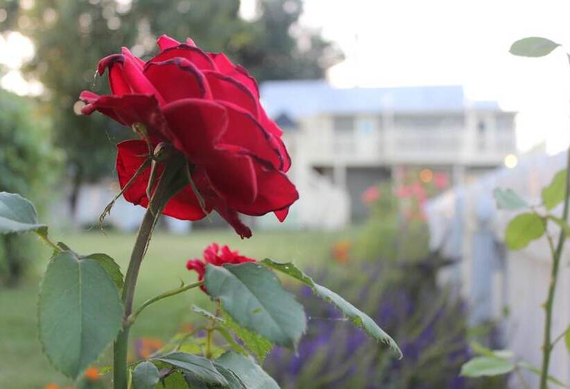 ベッドアンドブレックファースト Inn Of The Shenandoah