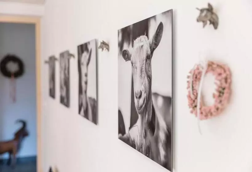 ベッドアンドブレックファースト Neuhof Gäste & Schokohaus