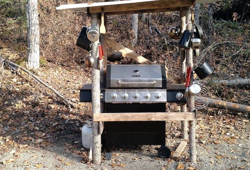 فندق صغير Blackburn Cabins   Mccarthy, Alaska