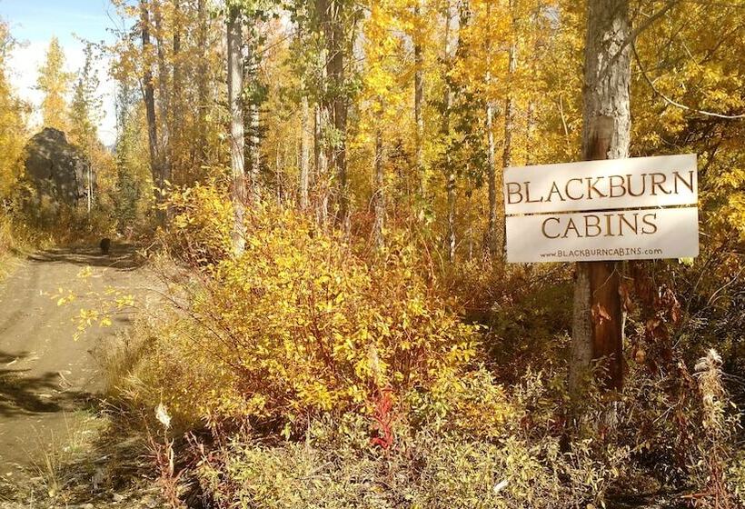 فندق صغير Blackburn Cabins   Mccarthy, Alaska