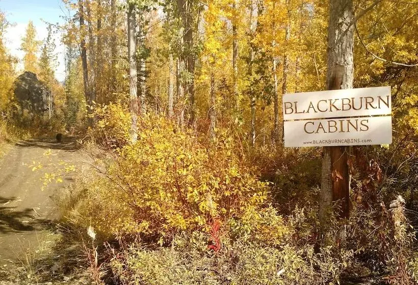 Retkeilymaja Blackburn Cabins   Mccarthy, Alaska