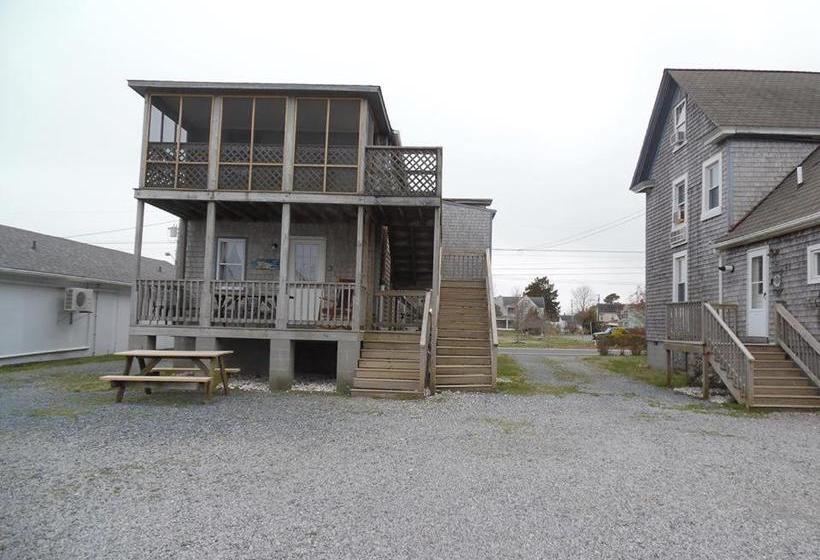 ユースホステル Seaside Apartment #22