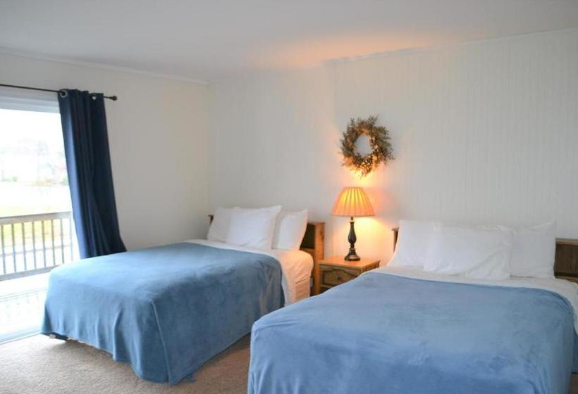 ユースホステル Seaside Apartment #22