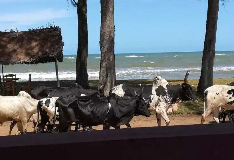 هتل Chez Zizou Manakara