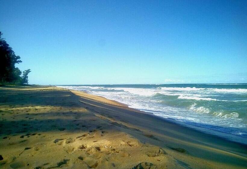 هتل Chez Zizou Manakara