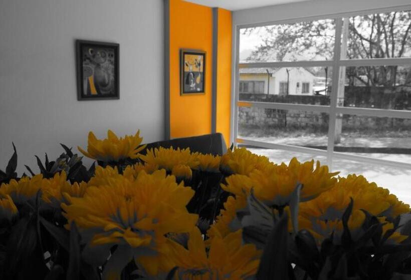 Отель Tropico Real Mesitas