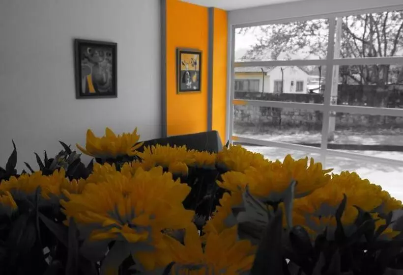 Hotelli Tropico Real Mesitas