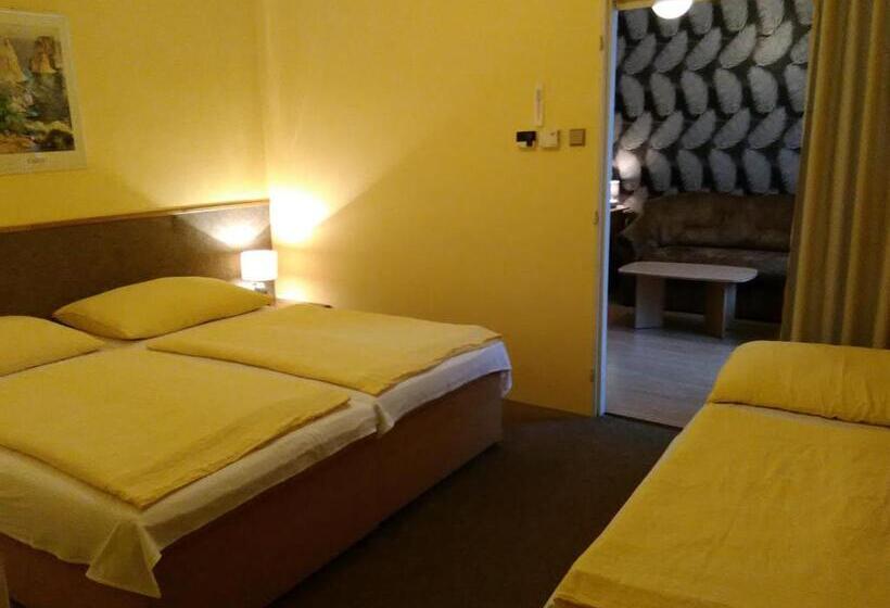 膳宿费 Penzion Vis A Vis