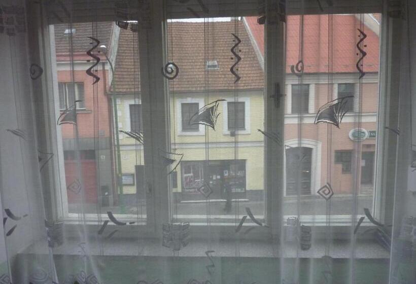 פנסיון Penzion Vis A Vis