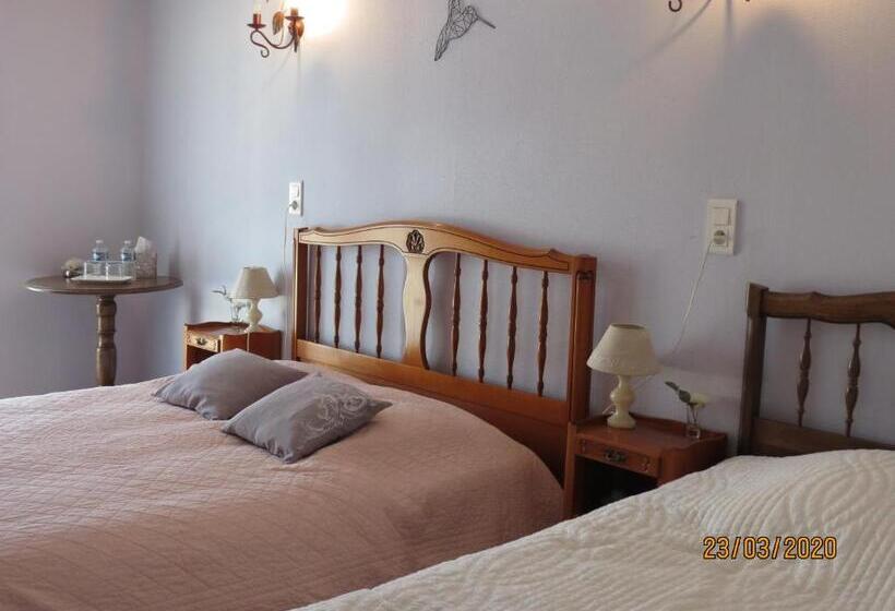 مبيت وإفطار Chambre D Hotes Champagne Laval Louis