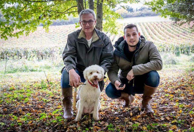 مبيت وإفطار Domaine De La Combotte