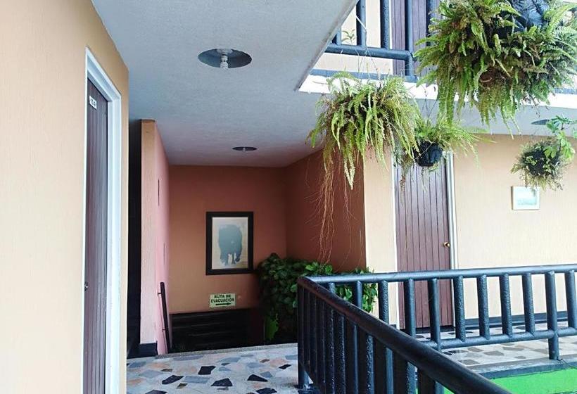 호텔 Bochica Inter