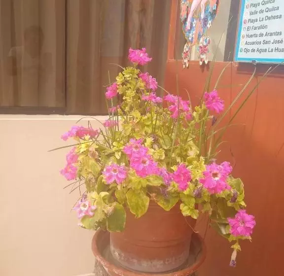 پانسیون Hospedaje Golden Inn