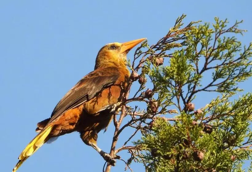 Retkeilymaja Posada Rural Casa Del Aire