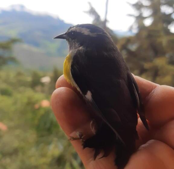호스텔 Posada Rural Casa Del Aire