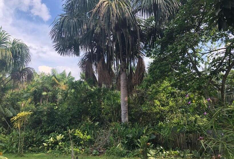 Hostel Posada Turística Quenari Wii