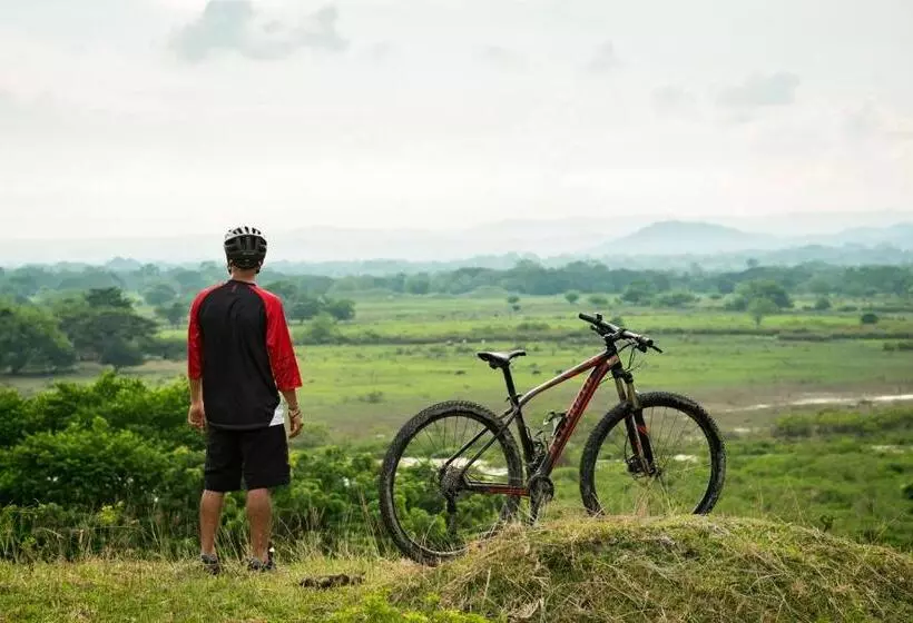 Casa De Las Dos Palmas  Hotel Boutique