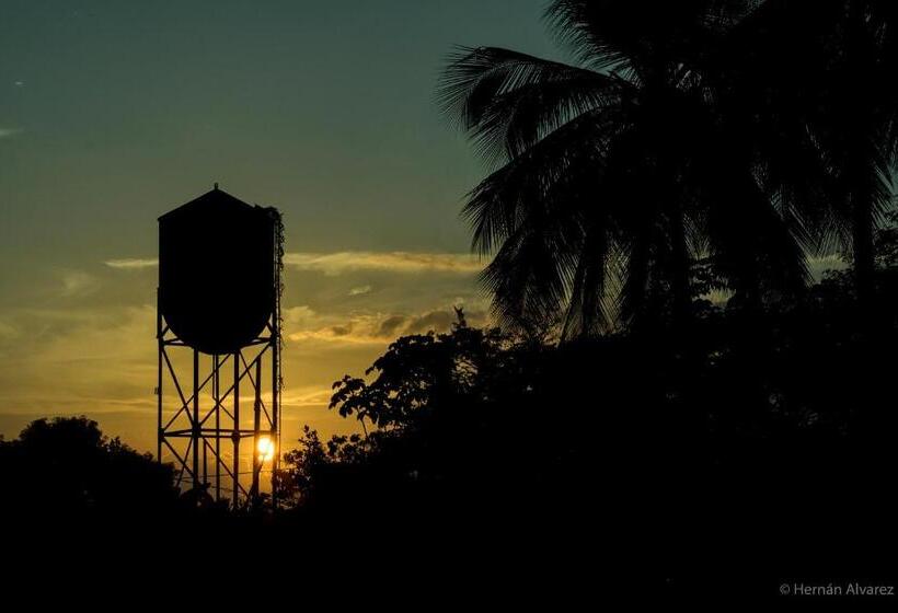 Casa De Las Dos Palmas  Hotel Boutique