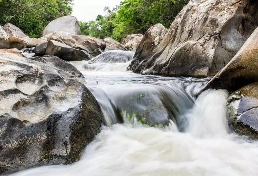 Casa De Las Dos Palmas  Hotel Boutique