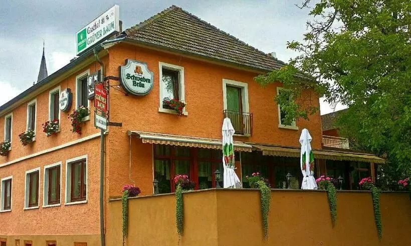 Hotelli Grüner Baum