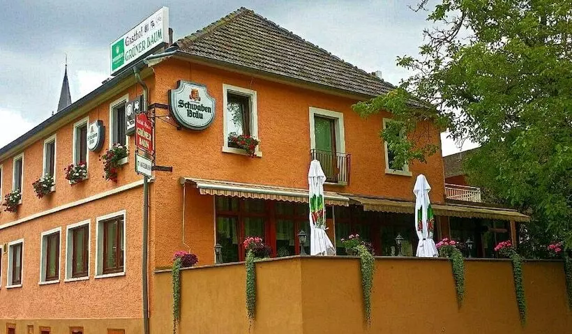 Hotelli Grüner Baum