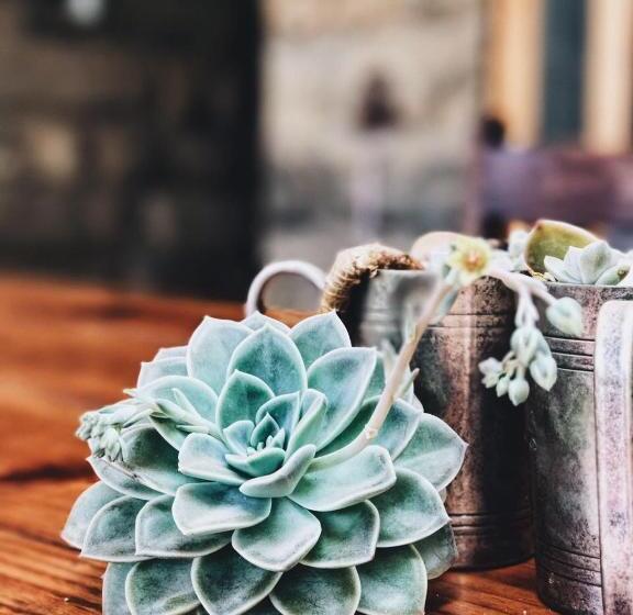 بنسيون Makoadi Farms Guesthouse