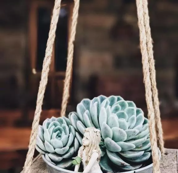 ペンション Makoadi Farms Guesthouse