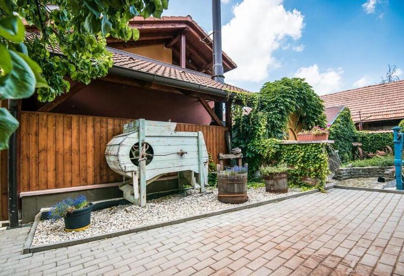 بنسيون Penzion Hluk