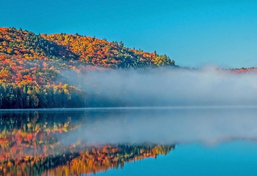 The Mad Musher Hostel