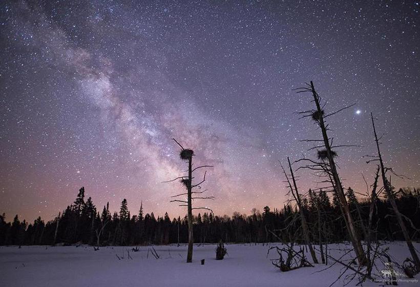 The Mad Musher Hostel