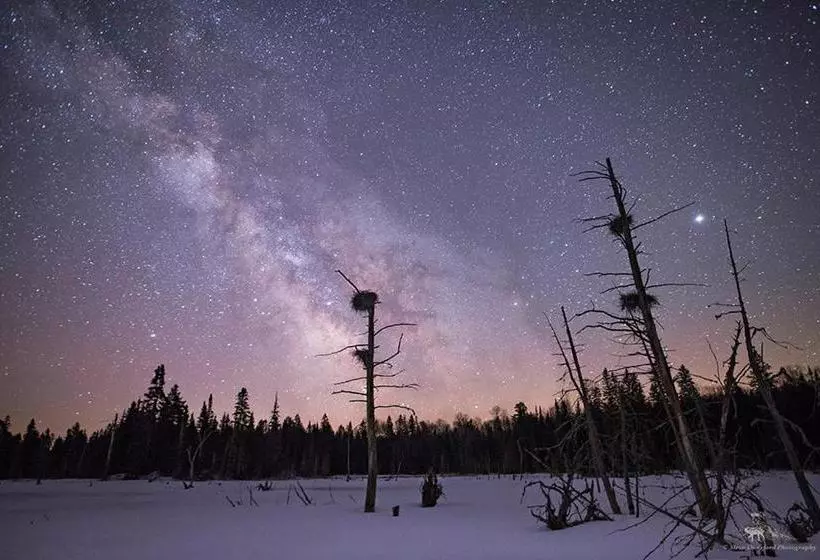 The Mad Musher   Hostel
